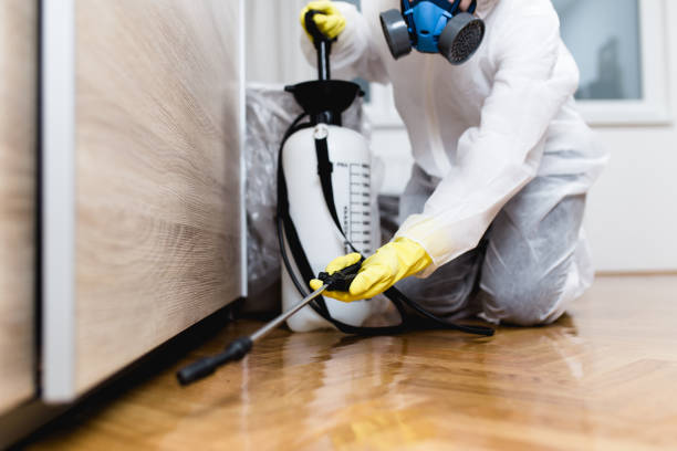 Pest Prevention Services in Eagleton Village, TN