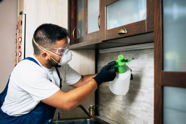 Best Pest Inspection Near Me  in Eagleton Village, TN