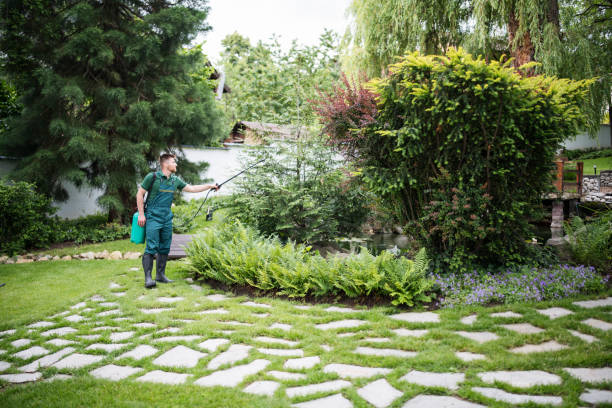 Best Ant Control Services  in Eagleton Village, TN