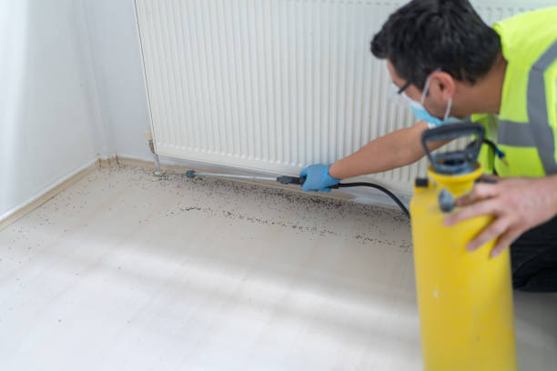 Best Pest Control for Homes  in Eagleton Village, TN